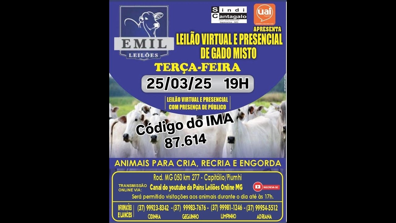 108º Leilão Virtual - EMIL Leilões - Capitólio/Piumhi - MG