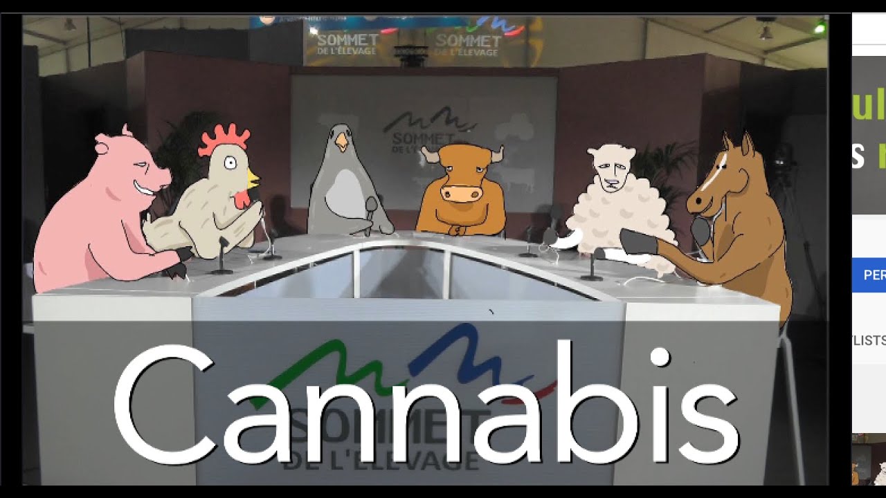 Quels agriculteurs pourront cultiver du cannabis ?