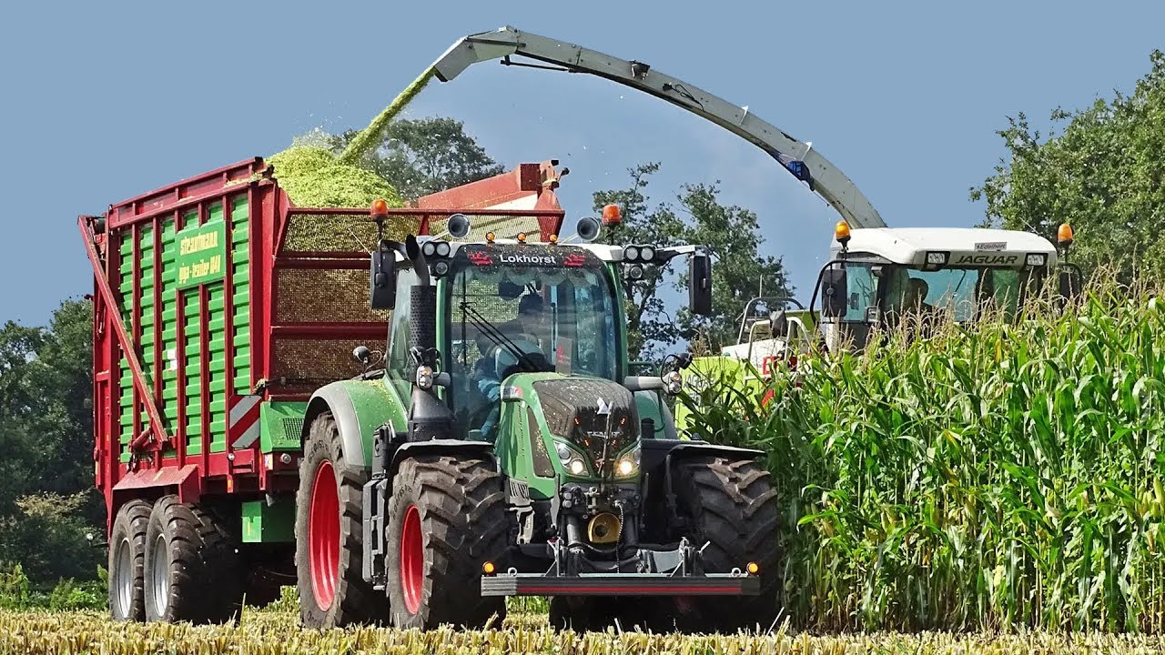 Mais Silage | Claas Jaguar 850 + Fendt | Edelhert & Lokhorst | 2020