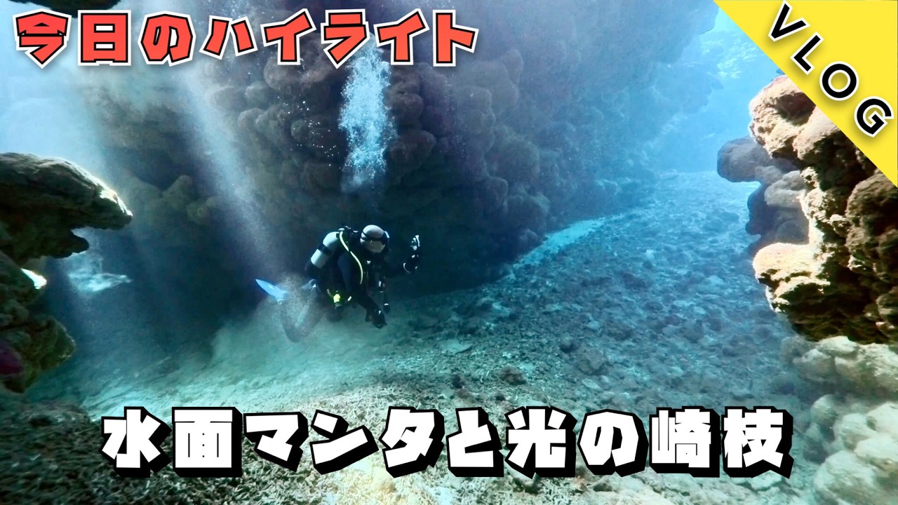 【石垣島ダイビングVlog】御神崎で水面マンタ炸裂！崎枝の光が最高すぎた