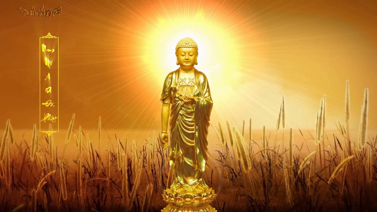 KHAI THỊ SỐ 72 - SANH TỬ TÂM THIẾT