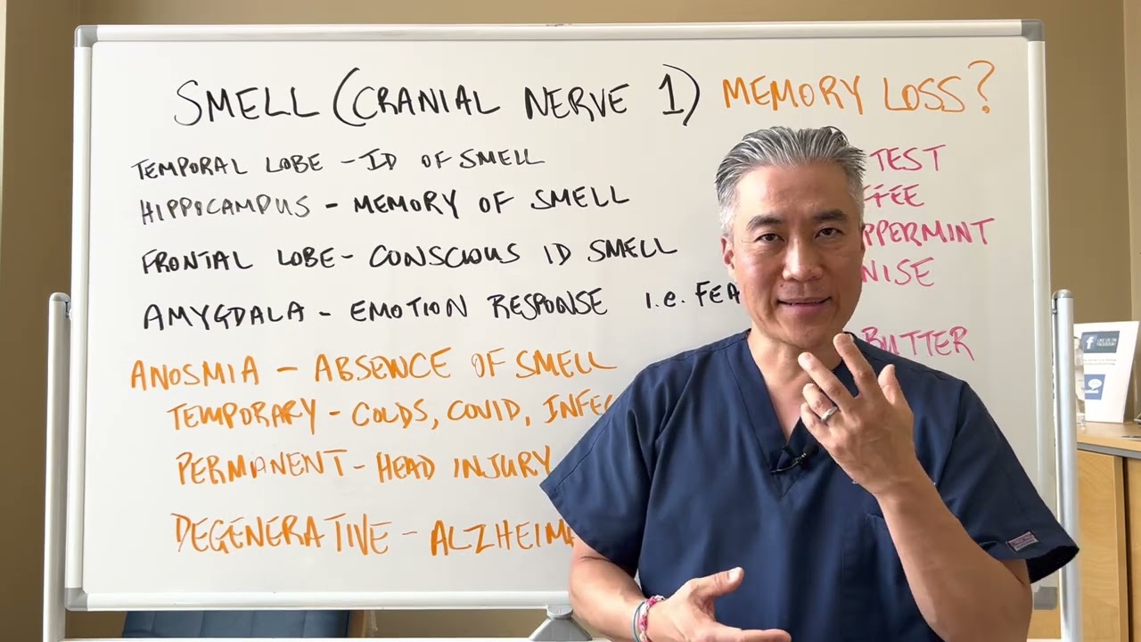 SMELL👃👃 (Cranial Nerve 1)&mdash;Memory Loss? Alzheimer/Dementia?