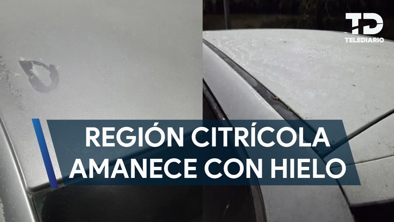 Región citrícola de NL amanece cubierta de hielo por el frente frío 31