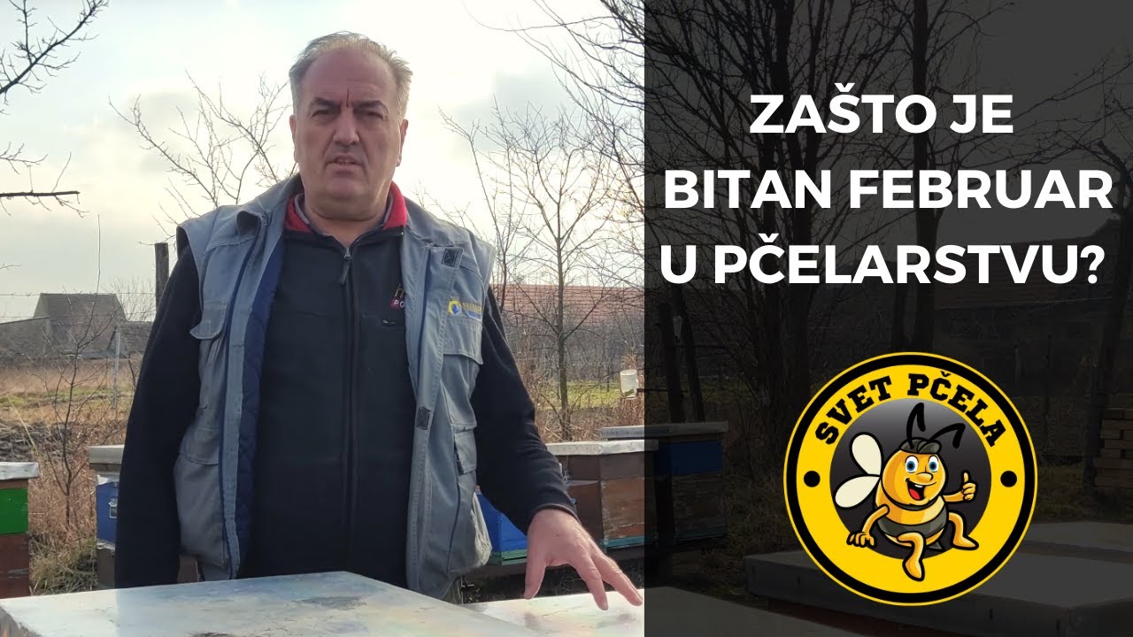 Zašto je bitan februar u pčelarstvu? - Pčelarstvo 2024