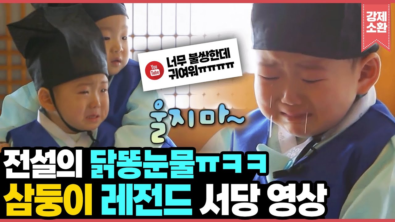 전설의 삼둥이 서당편 ㅋㅋㅋ👶민국이 닭똥눈물에 이모삼촌도 울어ㄸr...삼둥이 레전드 댓글모음.zip📁 | 슈퍼맨이 돌아왔다 I KBS 방송