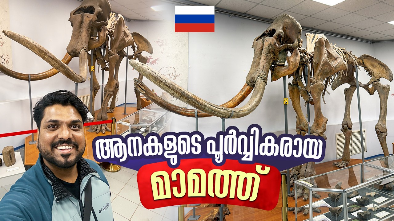 വംശനാശം വന്ന മാമത്തുകൾ | History Museum and Kingdom of Permafrost in Yakutsk | സൈബീരിയ #12