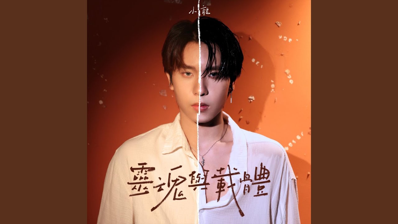 靈魂與載體