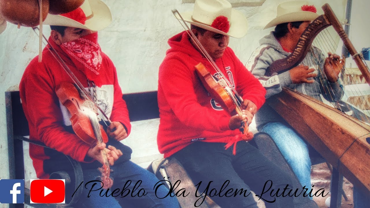 Son de pascola yoreme mayo en arpa y violin 2022