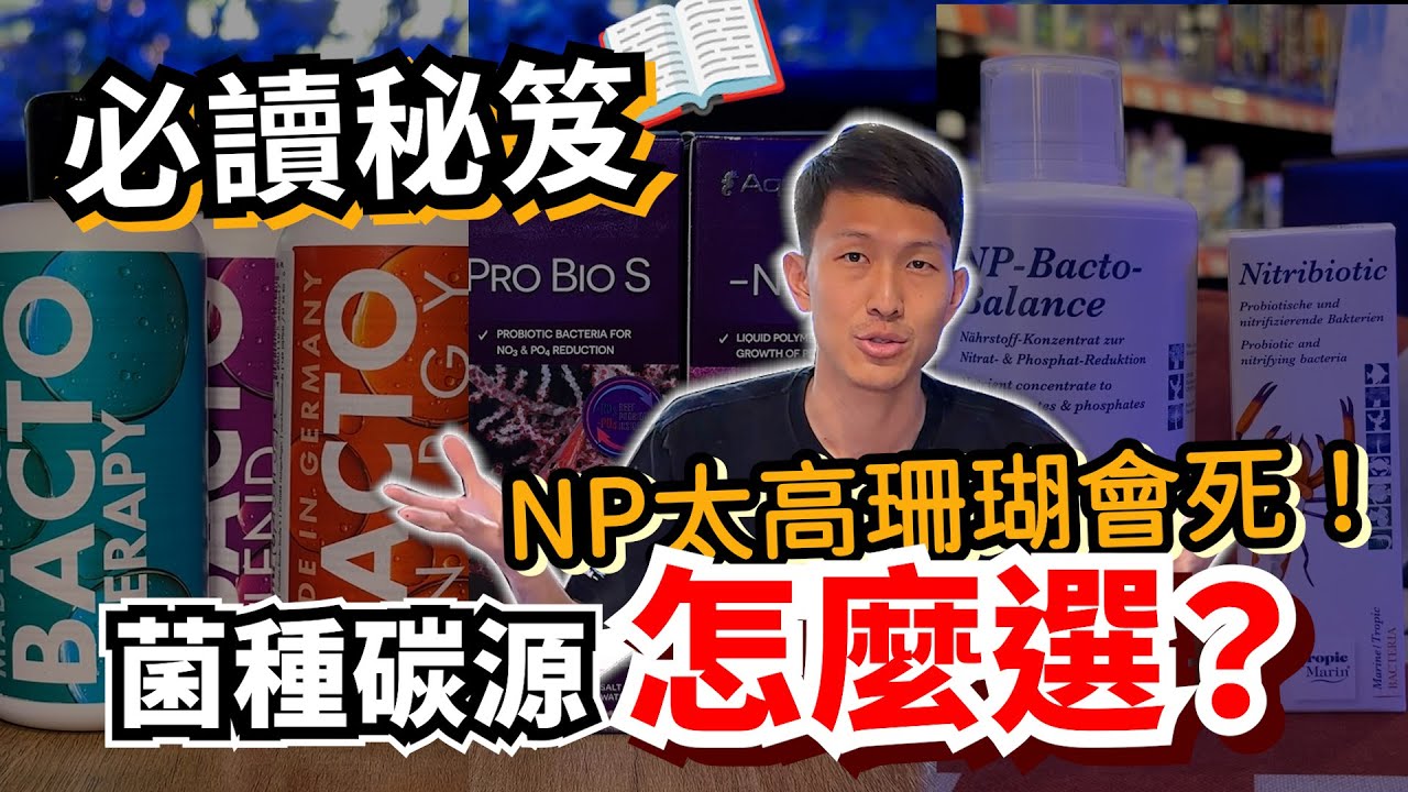 【藍箱水族】NP太高珊瑚會死！菌種碳源法讓NO3 PO4說拜拜～養海水缸珊瑚缸必讀秘笈！