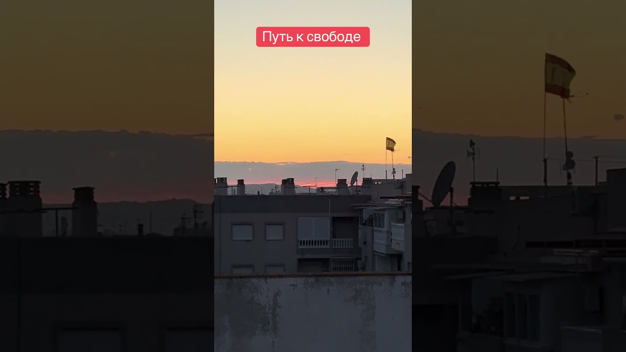 Ссылка в профиле