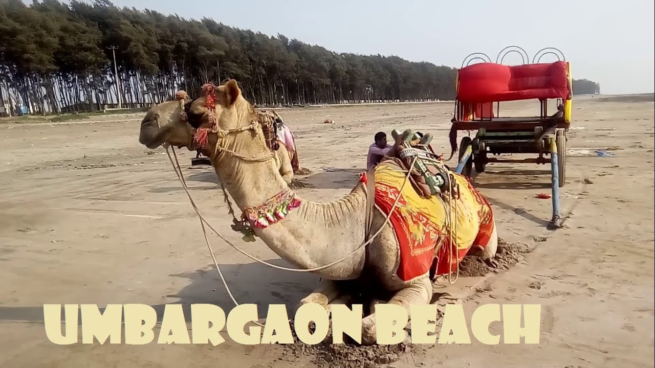 Umbergaon Beach - Umargam Town, Roads, Beauty, Beach,  Peace & Fun | ઉમરગામ | Gujarat