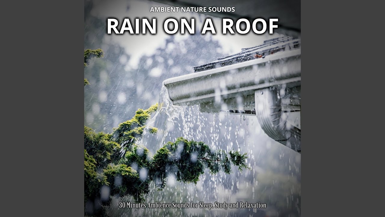 Rain and Reflection