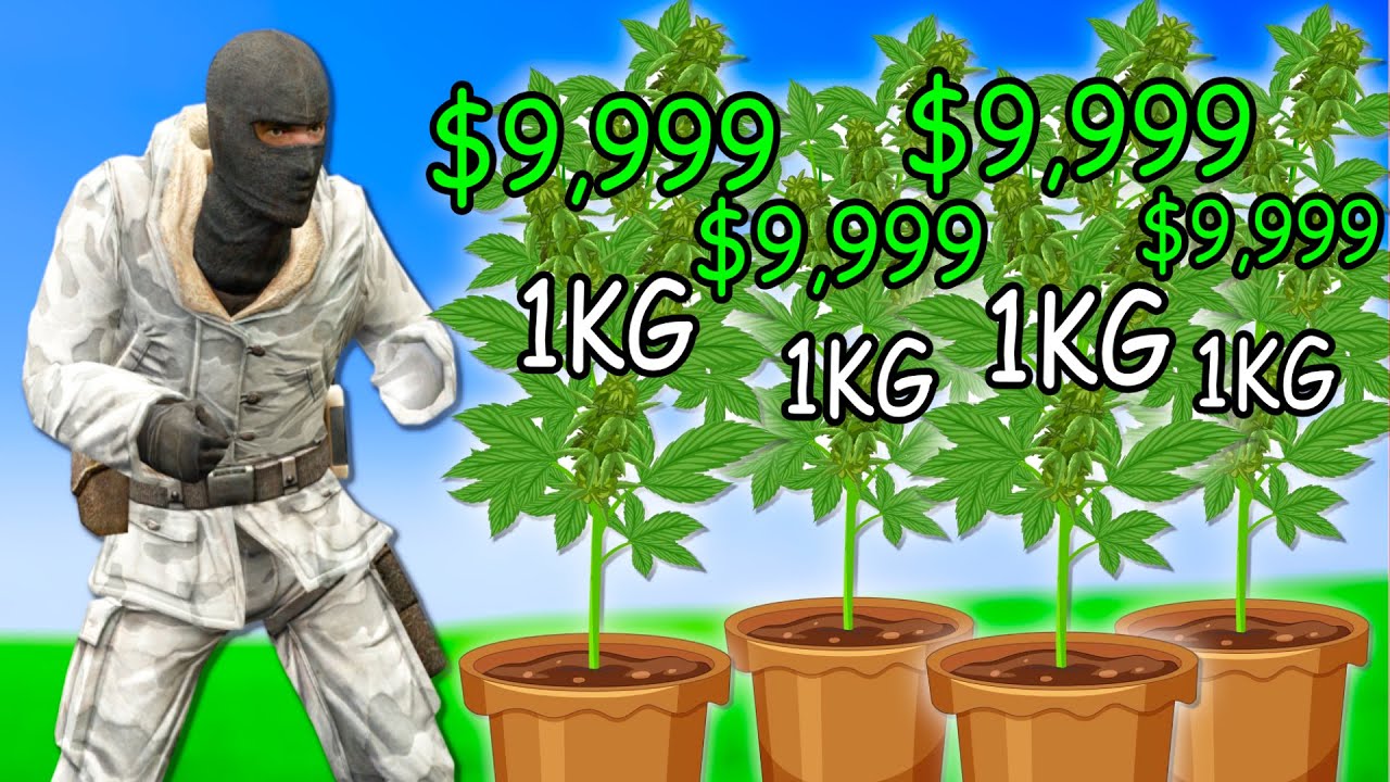 I Grew SPEED SEEDS To get LOTS of CASH on Gmod DarkRP EP 2