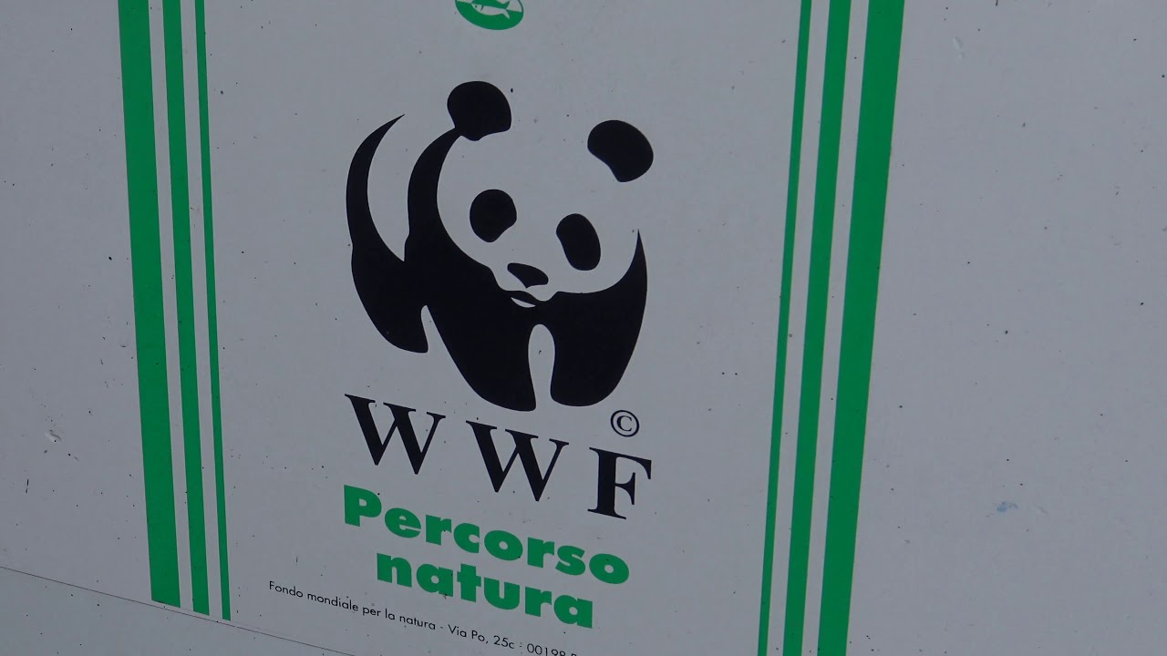 Cilentano.it all'Oasi WWF di Persano... un posto incredibile per i Birdwatcher!