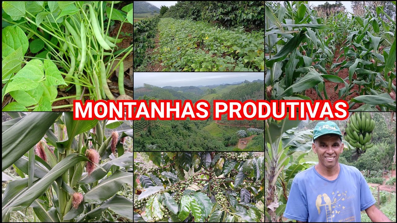 FIQUEI SURPRESO COM AS MINHAS PLANTAÇÕES DE MILHO,FEIJÃO E CAFÉ NAS MONTANHAS