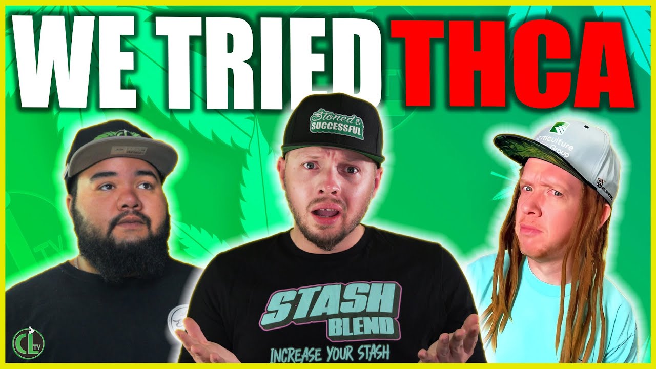 Is THCA The Same as Regular Cannabis? (wsg/ @StrainShow )