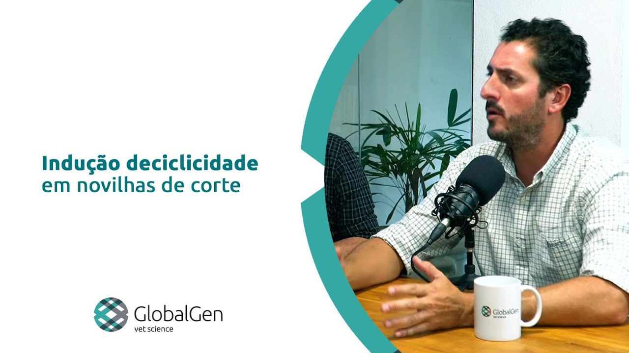 Indu&ccedil;&atilde;o de ciclicidade em novilhas de corte
