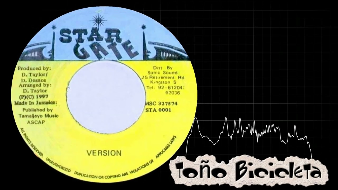 Star Gate Label Riddim Mega Mix (90s Edition)
