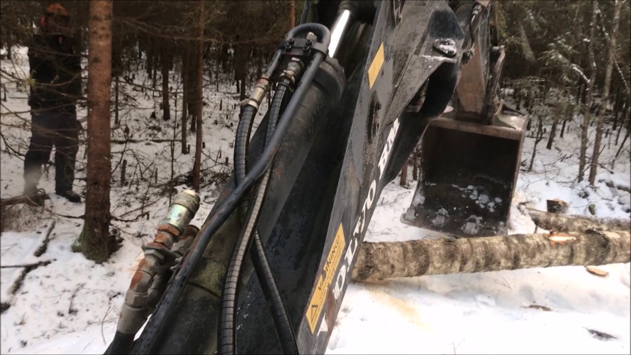 Volvo BM 6300 helps out fellings some trees