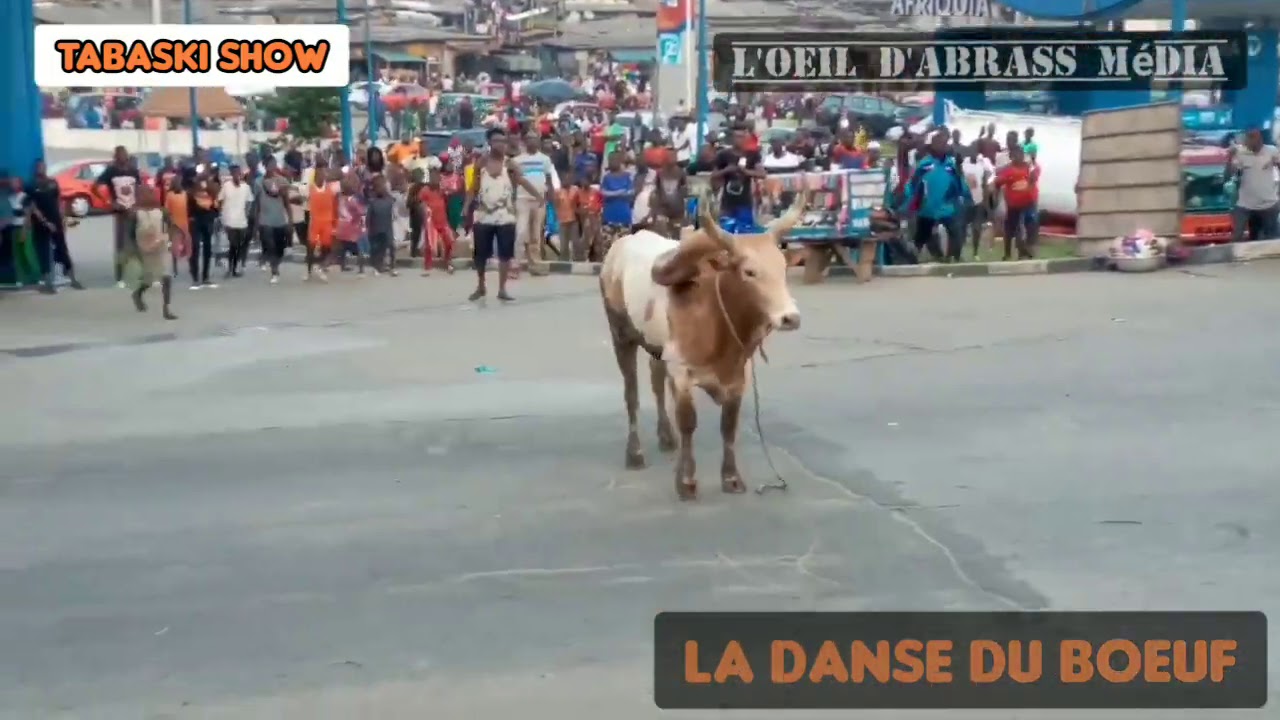 Le show avant la fête de la Tabaski