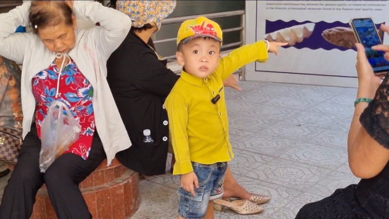 Chuột Được Mẹ Dẫn Đi Xem Cá M.ập Và Rất Nhiều Loài Cá Đẹp Vá #meconnhachuot #chuotdixemcamap