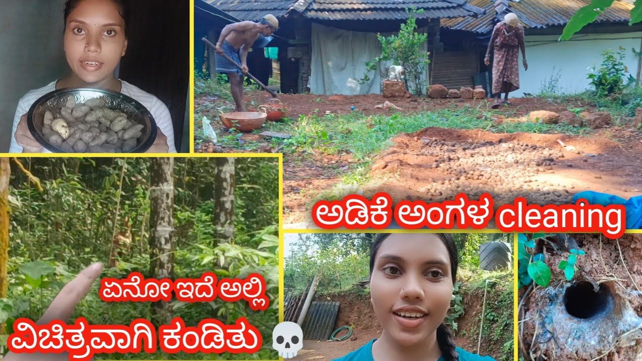 ಅಯ್ಯೋ ಹಾವು 🐍 ಏನೋ ನೋಡಲು ಹೋಗಿ ಏನೋ ಕಂಡಿತು 👻|| full cleaning 🧹|| kannada 2024