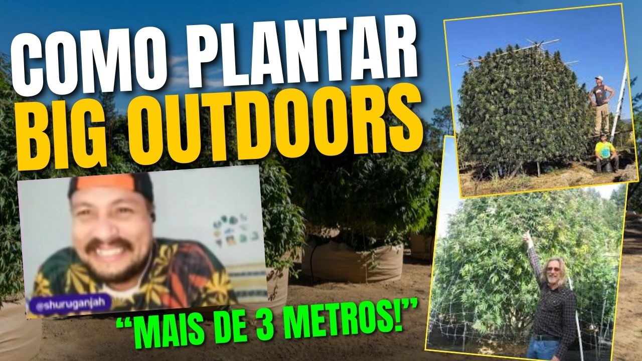 CULTIVO OUTDOOR: 9 A&ccedil;&otilde;es Quem Ningu&eacute;m Fala!