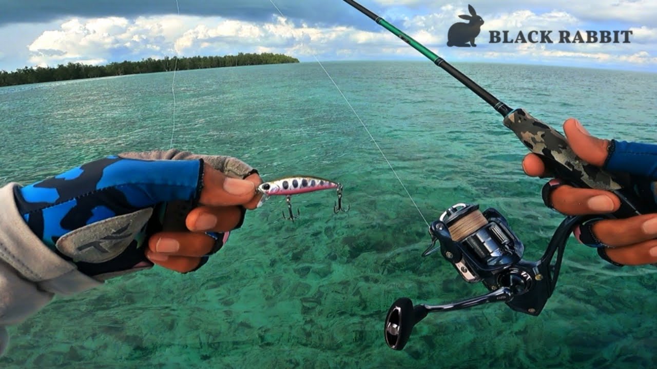 PAKAI MINNOW BLACK RABBIT AUTO PANEN STRIKE || Ultra Light Casting