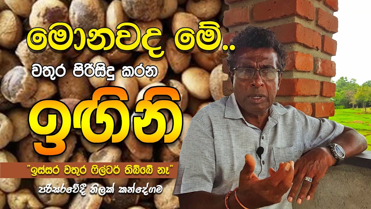 මොනවද මේ වතුර පිරිසිදු කරන 