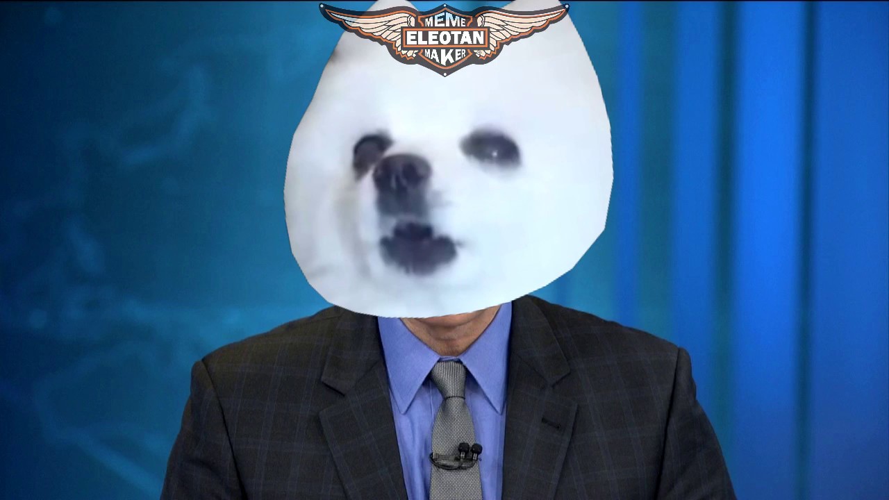 ABERTURA JORNAL NACIONAL em CACHORR&Ecirc;S