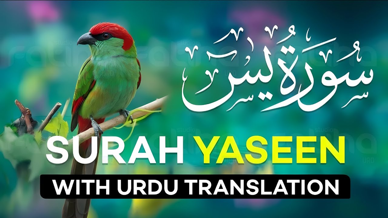 Surah Yaseen (Yasin) with Urdu Translation | Quran Tilawat Beautiful Voice | Hindi Translation