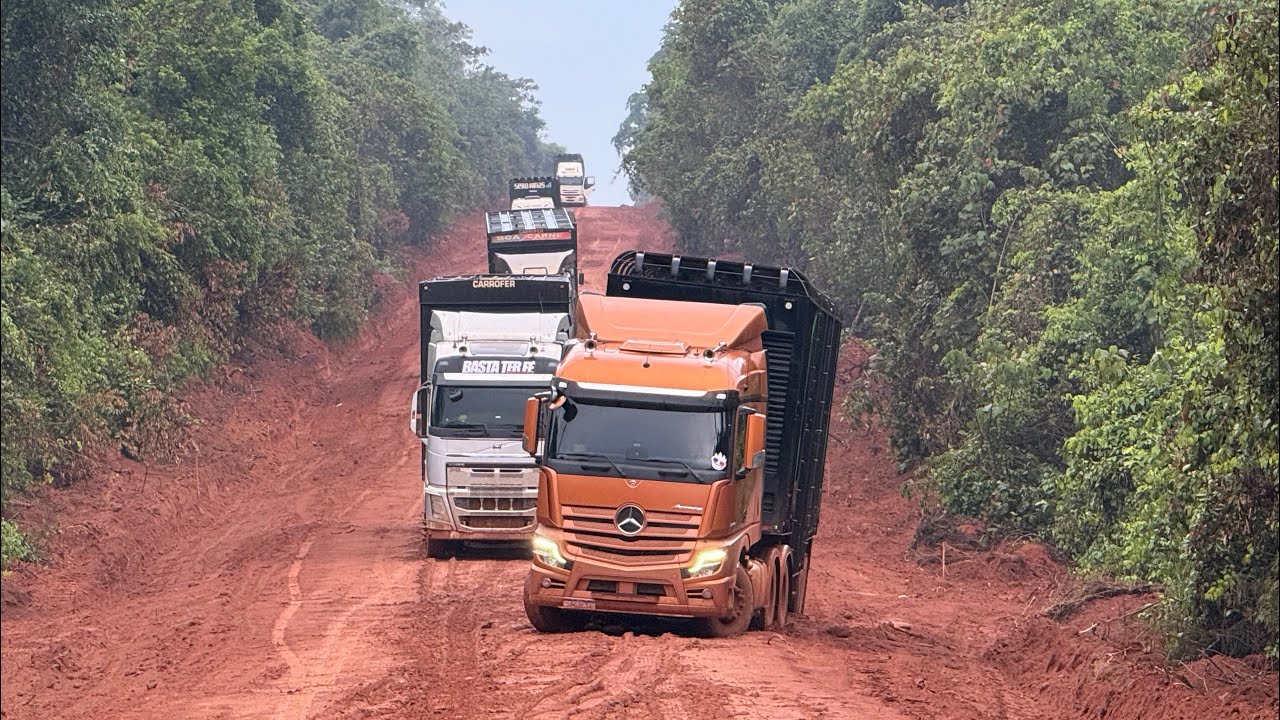 XINGU NÃO TÁ FÁCIL! CARRETA BOIADEIRA ATOLADA AO EXTREMO. 
