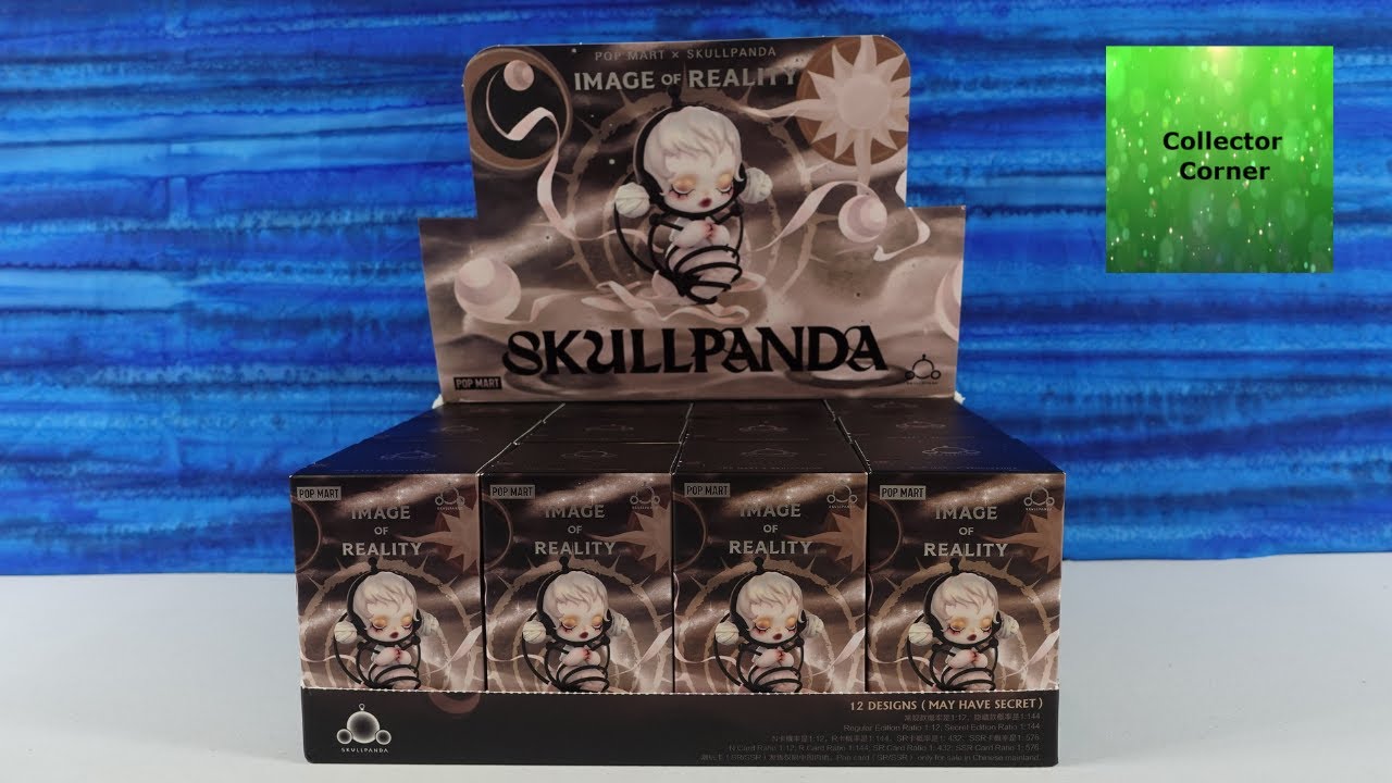 Skullpanda Image Of Reality Pop Mart Blind Box Figure Unboxing