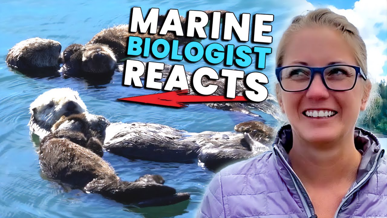 Sea Otter Baby Steals Her Mom's Crab