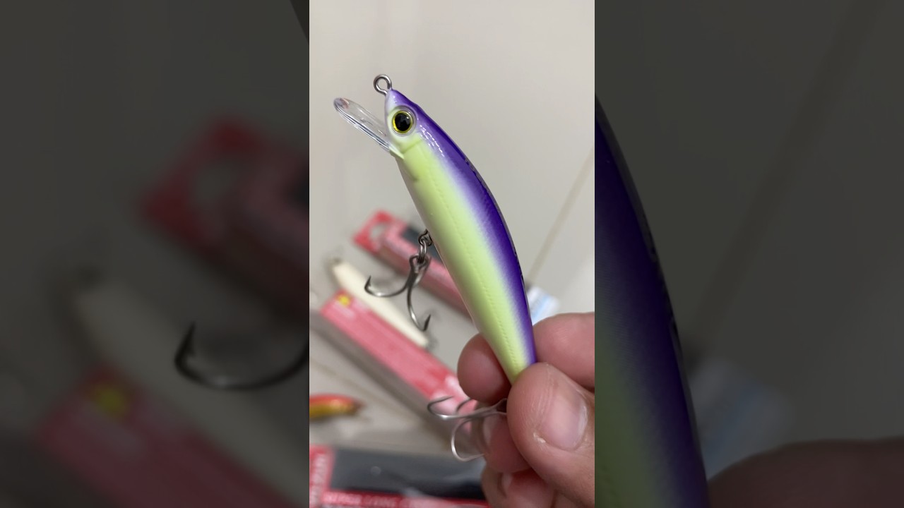 Must-Have Yo-Zuri Lures for Shore Casting Philippines
