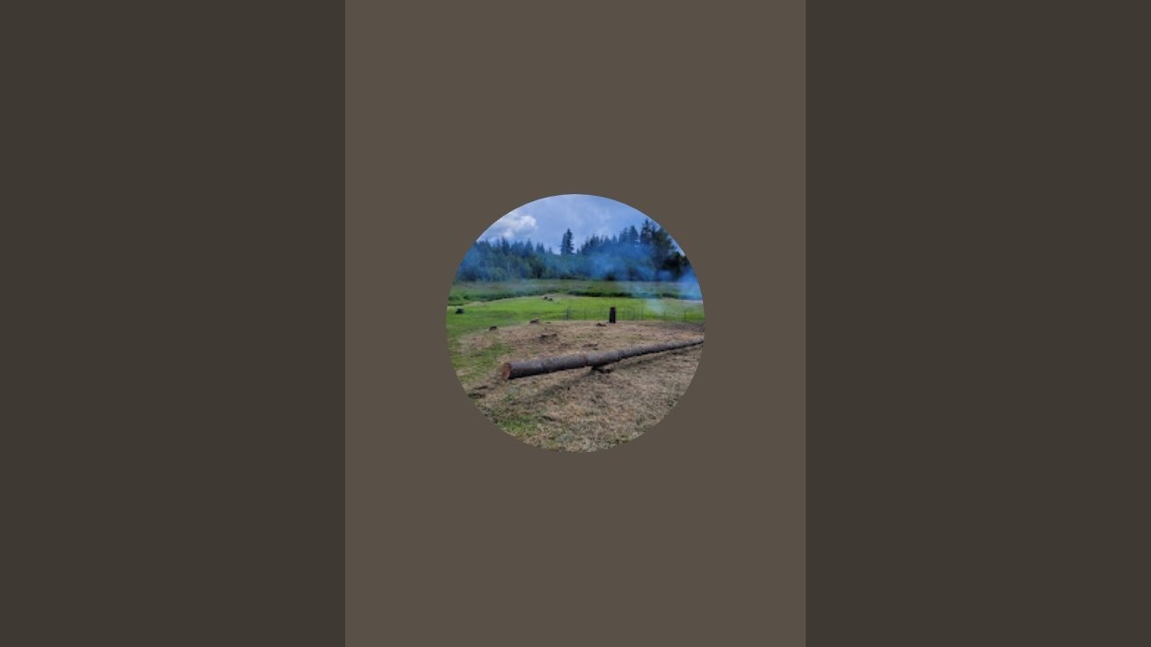 Evergreen Homesteader is live!