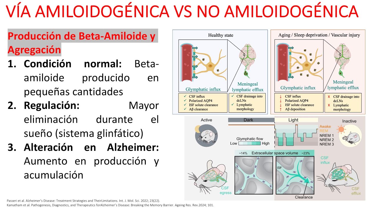 FISIOPATOLOGÍA ALZHEIMER 