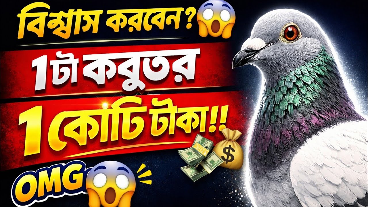বিশ্বাস করবেন? এক কবুতরের মূল্য ১ কোটি টাকা! 😱