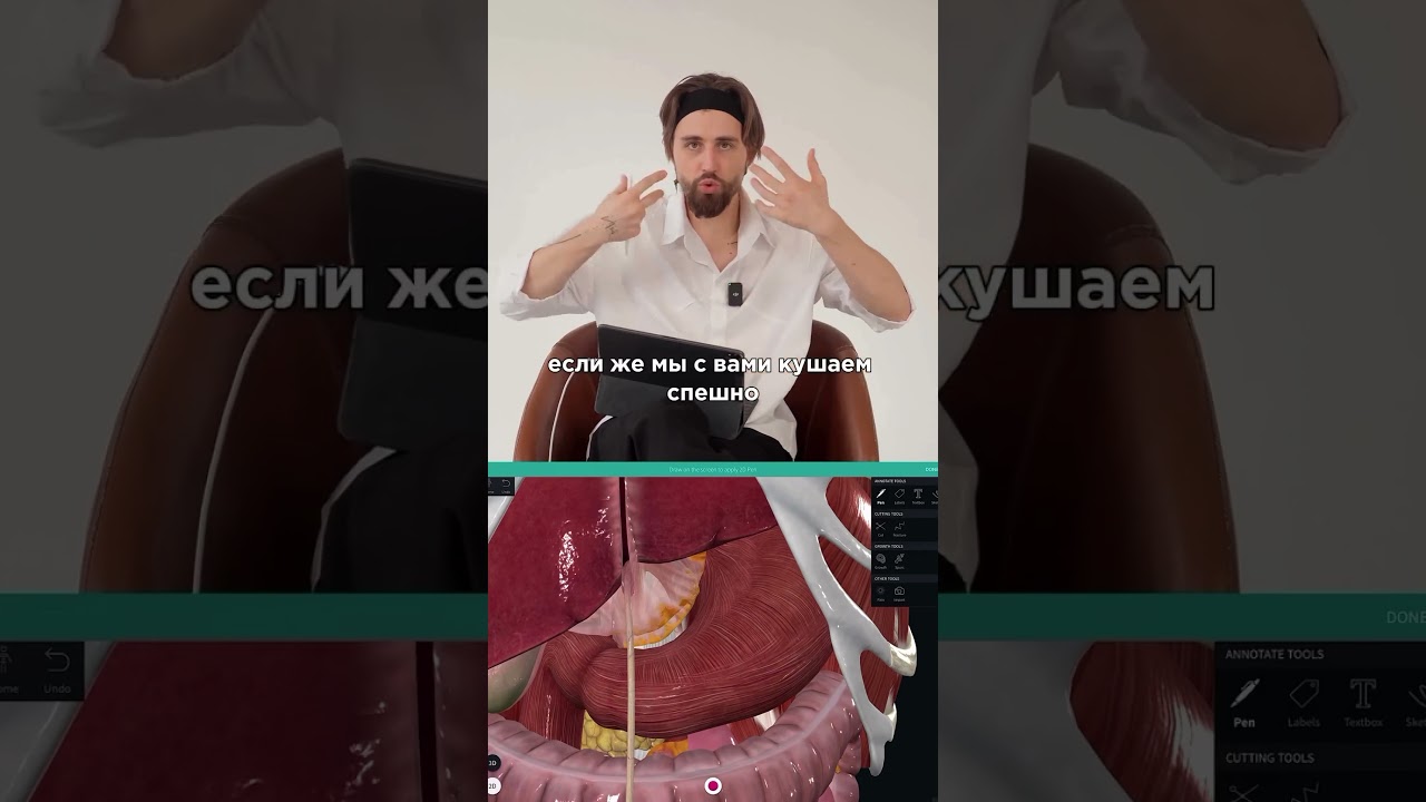 Почему колит в животе после еды? #остеопатия