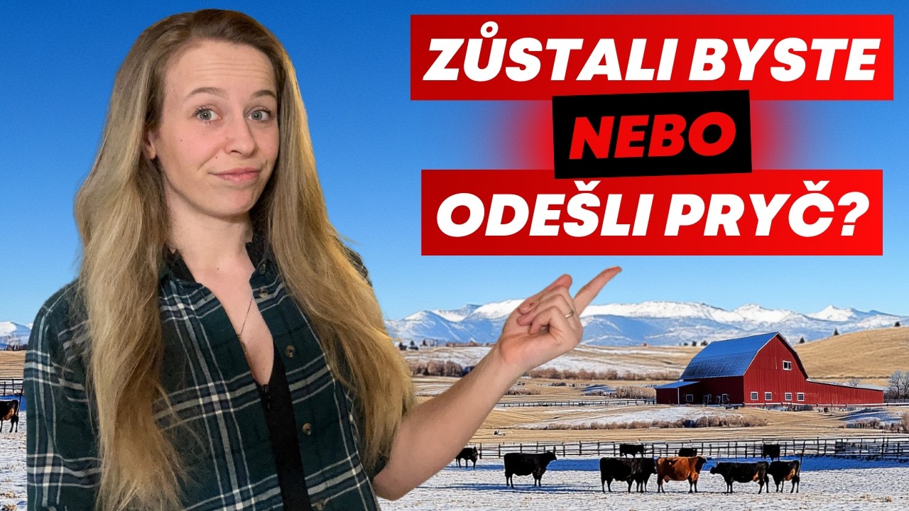 Jak vypadala naše nejhorší pracovní zkušenost v zahraničí?