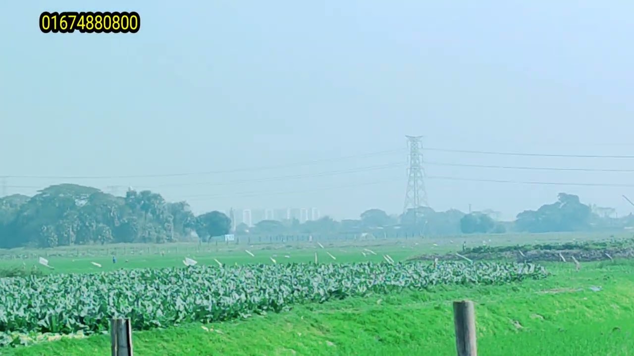 উওরার সন্নিকটে বিরুলিয়ার সারুলীয়া দেওয়ান বাড়ি মৌজায় সরকারি ২৬ ফিট রাস্তার সাথে ৬৫ শত জমি বিক্রয