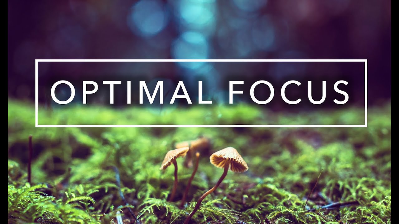 Music to reach Flow state while reading, optimal focus and studying - Infinite Atmosphere