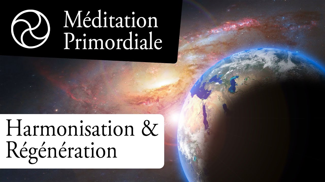 🧘‍♂️ Méditation guidée : harmonisation et régénération