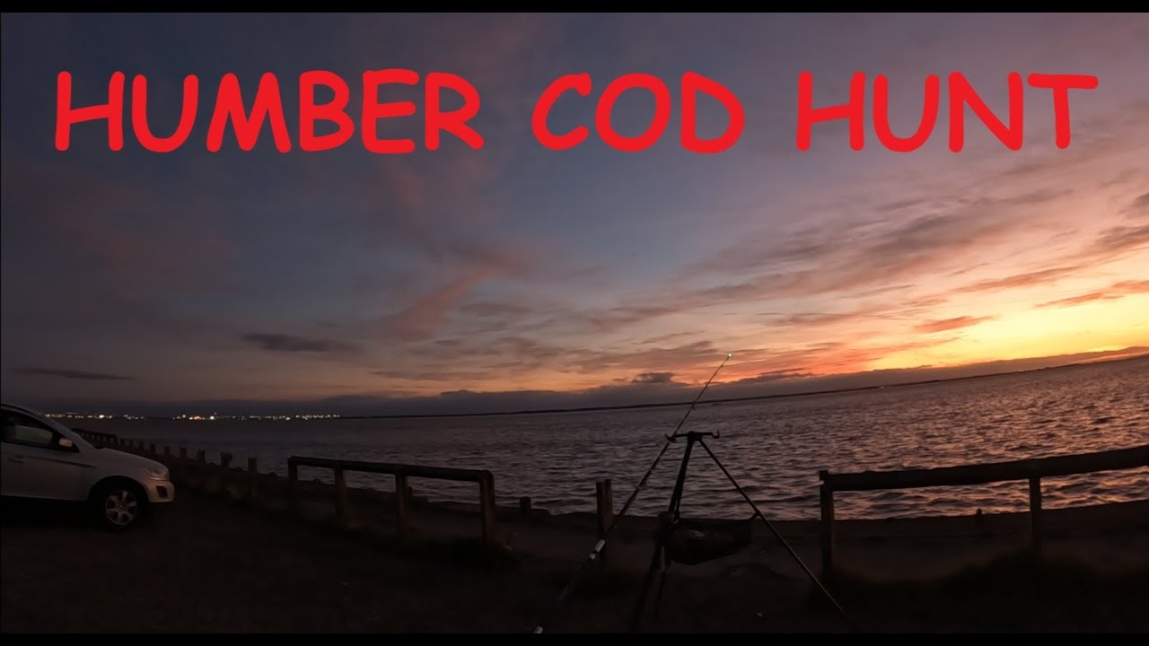 UK Sea Fishing - PAULL - HUMBER COD HUNT - River Humber - East Coast