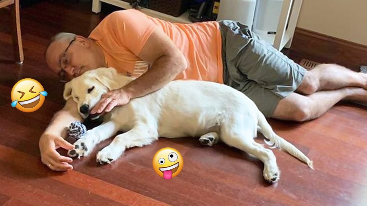 You Can’t Stop Laughing At These Dogs 🤣 FUNNIEST DOGS Video 2026 #53