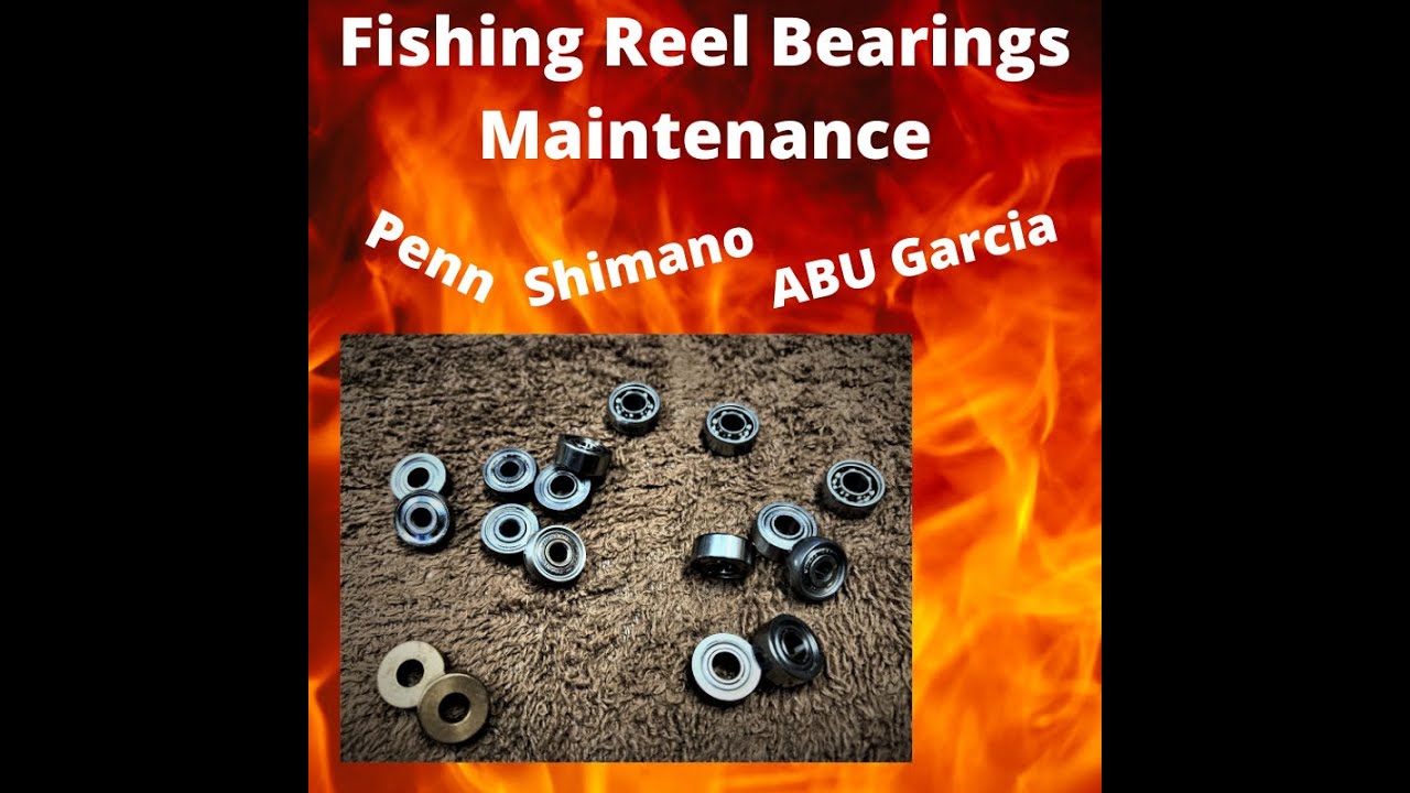 Fishing Reel Bearings ABU Garcia Shimano Penn Maintenance Clean Lubricate
