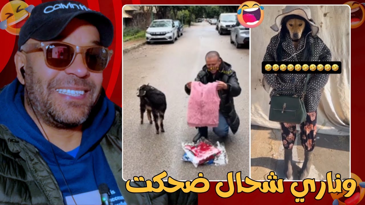 شعب هرب ليه 🤣😅زاهية ميمز