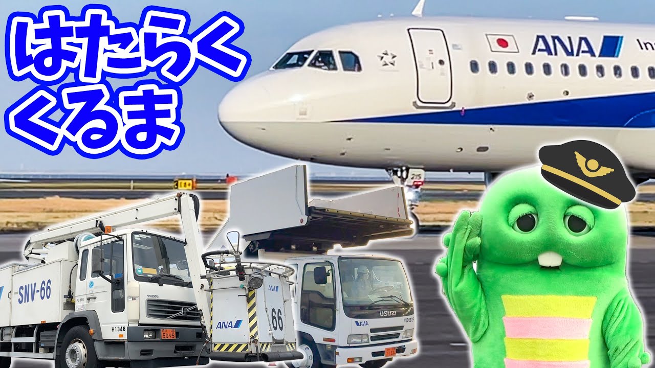 くるまが階段にへんしんだ！空港ではたらくくるまが大集合！【ANA/全日空】【はたらくくるま（働く車）】