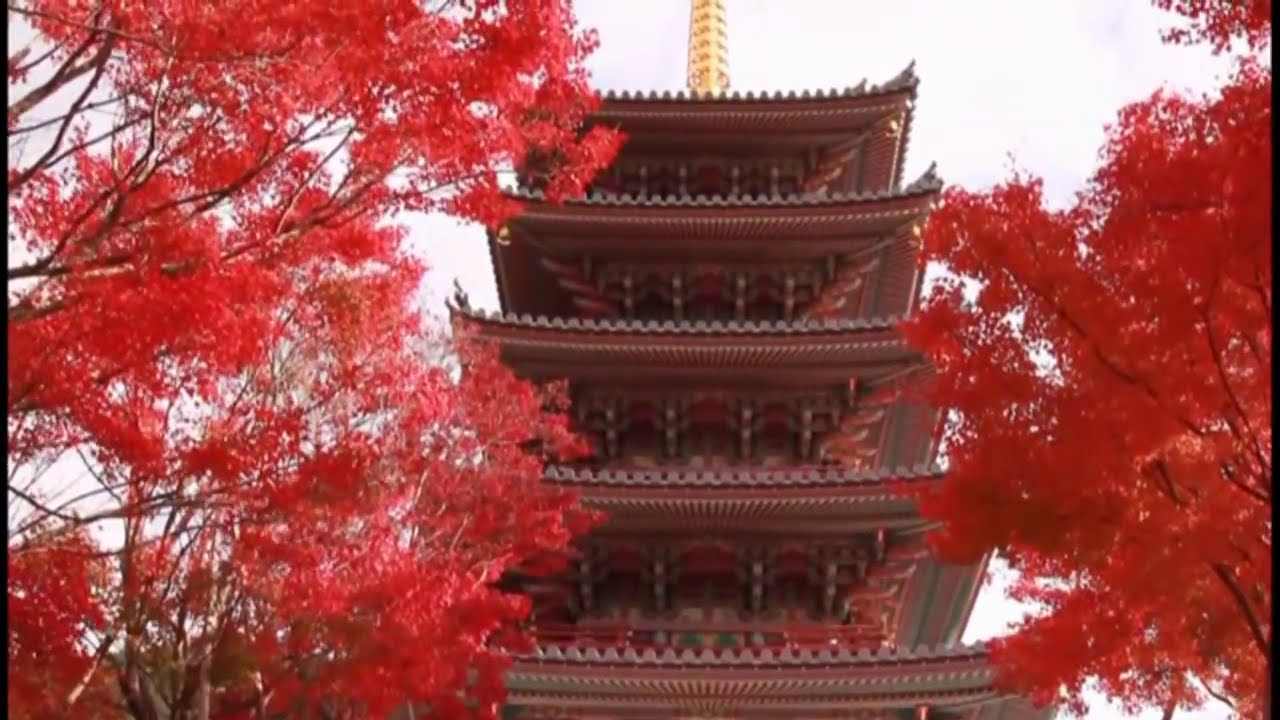 Japanese garden 日本庭園 照紅葉〜念佛宗(念仏宗無量寿寺) 兵庫県加東市