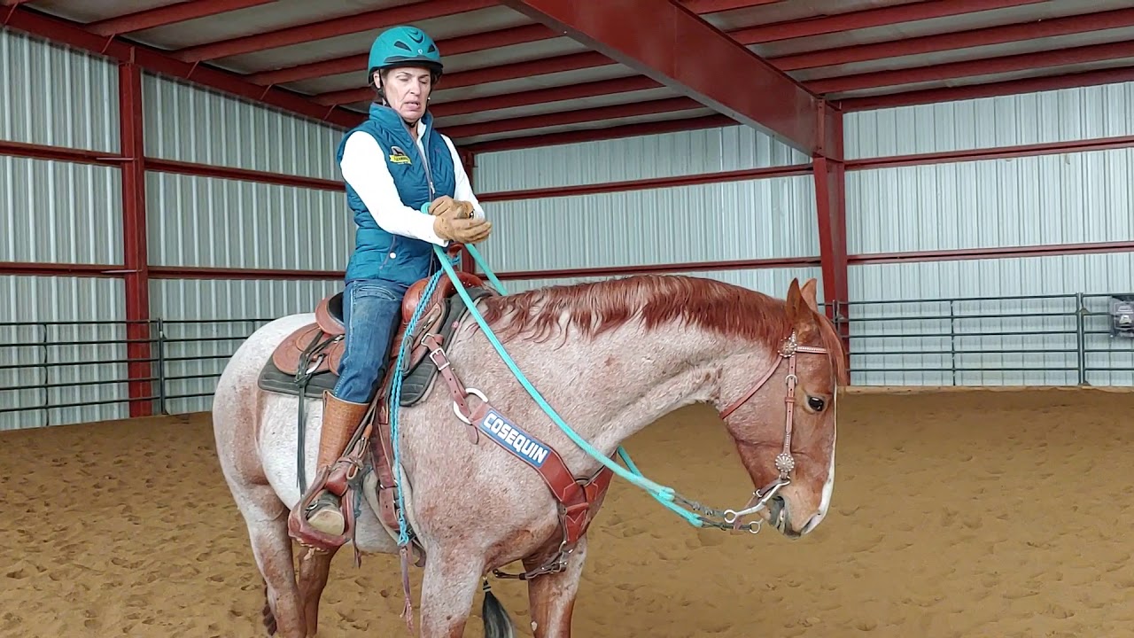 Daily Dose of Horsemanship Homework: Using Indirect Rein